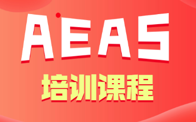 武汉江夏新航道AEAS培训课程