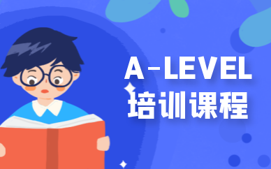 北京朝阳A-Level1对1培训课程