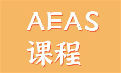 上海浦東朗閣AEAS培訓課