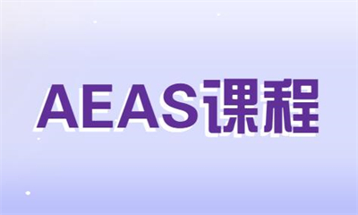 郑州朗阁AEAS培训课