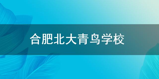 合肥北大青鸟bandao网站学校