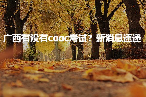 广西百色优路教育培训学校  thumb